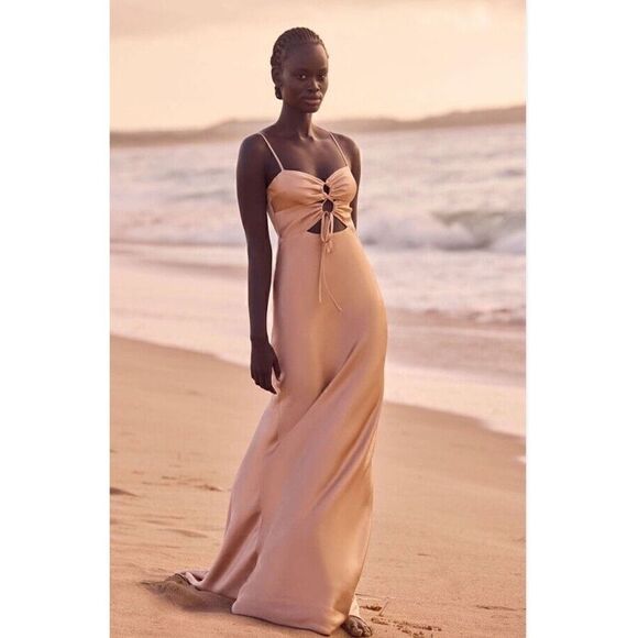 NWT Shona Joy Lace Front Maxi Dress Desert Rose sz 4 US - Picture 2 of 11